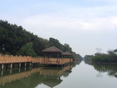 -大湾区中央湿地公园