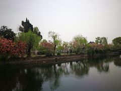 -无锡蠡湖国家湿地公园-蠡园