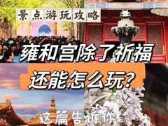 -雍和宫