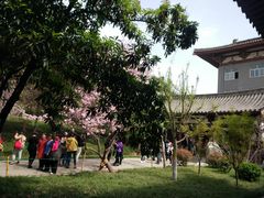 -西安青龙寺遗址景区
