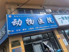 -小叮当动物医院·骨科·眼科