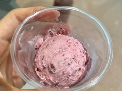 粒粒·杨梅-阿嬷手作(上海万象城店)