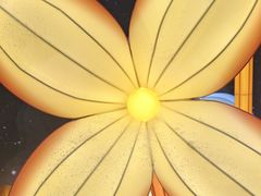 -深圳湾万象城(南山店)