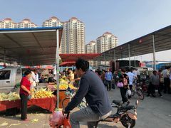 -何庄子阿米玛玛农产品批发市场