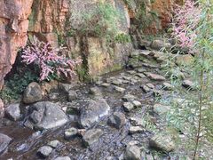 -湖洞水自然风景区