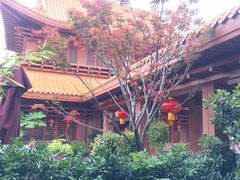 -深圳仙湖植物园