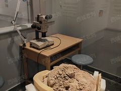 -北京大学赛克勒考古与艺术博物馆