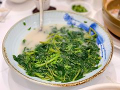 苋菜鱼滑-白天鹅宾馆-宏图府餐厅