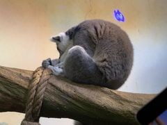 -大连圣亚海洋世界
