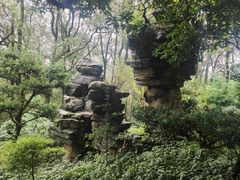 -南山植物园