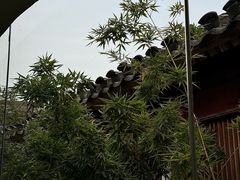 -曲廊院(东四十一条店)