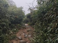 -南岳衡山风景名胜区