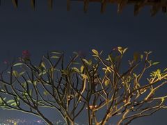 -广州柏悦酒店·悦吧·顶楼露天酒吧