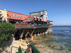 -Fish Hopper