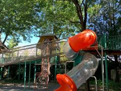 -南宫五洲植物乐园