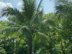 -深圳湾公园(南山区)