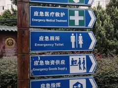 -神仙树公园