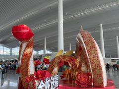 -广州白云国际机场-T2航站楼