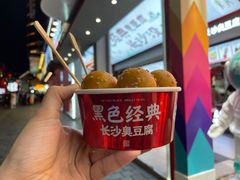 -黑色经典臭豆腐·湖南特产(坡子街店)