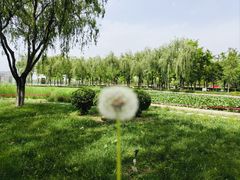 -廊坊文化艺术中心