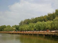 -二一九公园