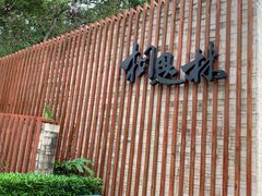 -银湖山郊野公园-相思林