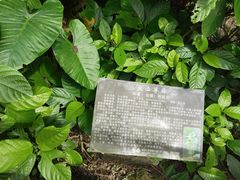 -海口火山口国家地质公园