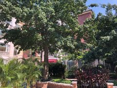 -中旅阿那亚九龙湖·公主酒店