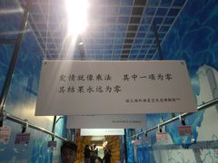-上海外滩星空失恋减压馆(外滩旗舰馆)