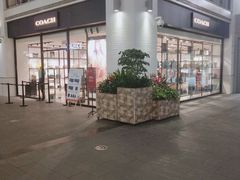 -COACH蔻驰(盛京奥特莱斯店)