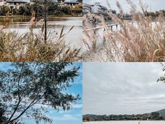-美的鹭湖森林度假区