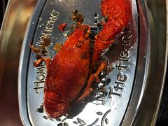 -骄傲de小龙虾 · 全羊馆(新北万达店)