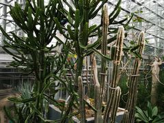 -南山植物园