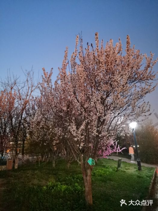 绿岛公园(滨海新区)图片