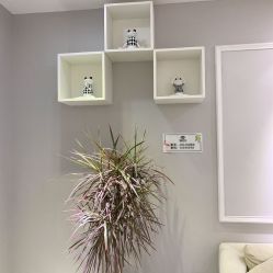 -久匠·野生眉半永久纹眉