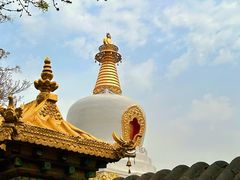 -护国法轮寺