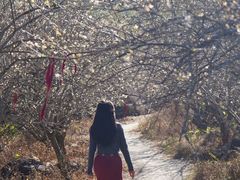-广州市流溪河国家森林公园