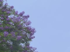 -沐仙湖湿地公园