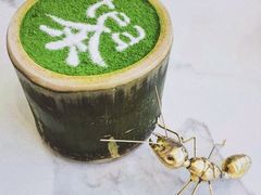 -茶是一枝花泡茶店