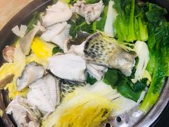 桂花鱼-海大大蒸汽海鲜餐厅·粤菜·特色小炒(欢乐颂店)