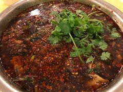 -胖大姐黄辣丁鱼庄(新津店)