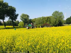 -长白岛森林公园