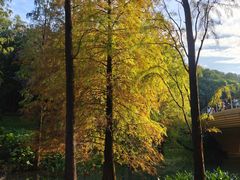 -云溪植物园