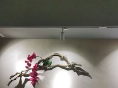 -耳艺采耳·足疗·按摩SPA(东圃店)