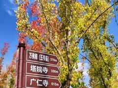 -五台山风景名胜区