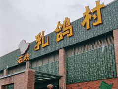 -石岐乳鸽村(南海第三分店)