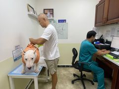 -美联众合动物医院·24h转诊中心