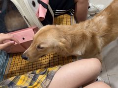 -佳雯宠物医院·皮肤科·内外科(春晓路分院)