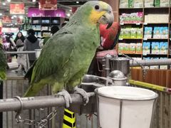 -万达广场(济南魏家庄店)