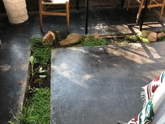 -北马山庄植趣咖啡